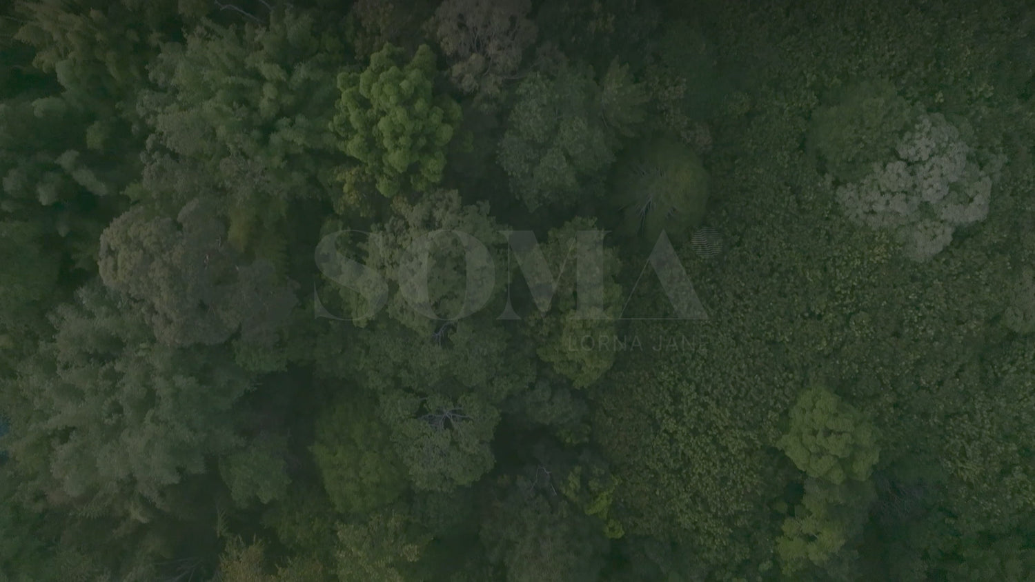 Fly through SOMA property in the Byron hinterland. Text says: SOMA Lorna Jane.