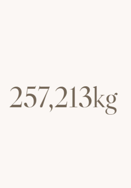 Text reading the number 257,213kgs