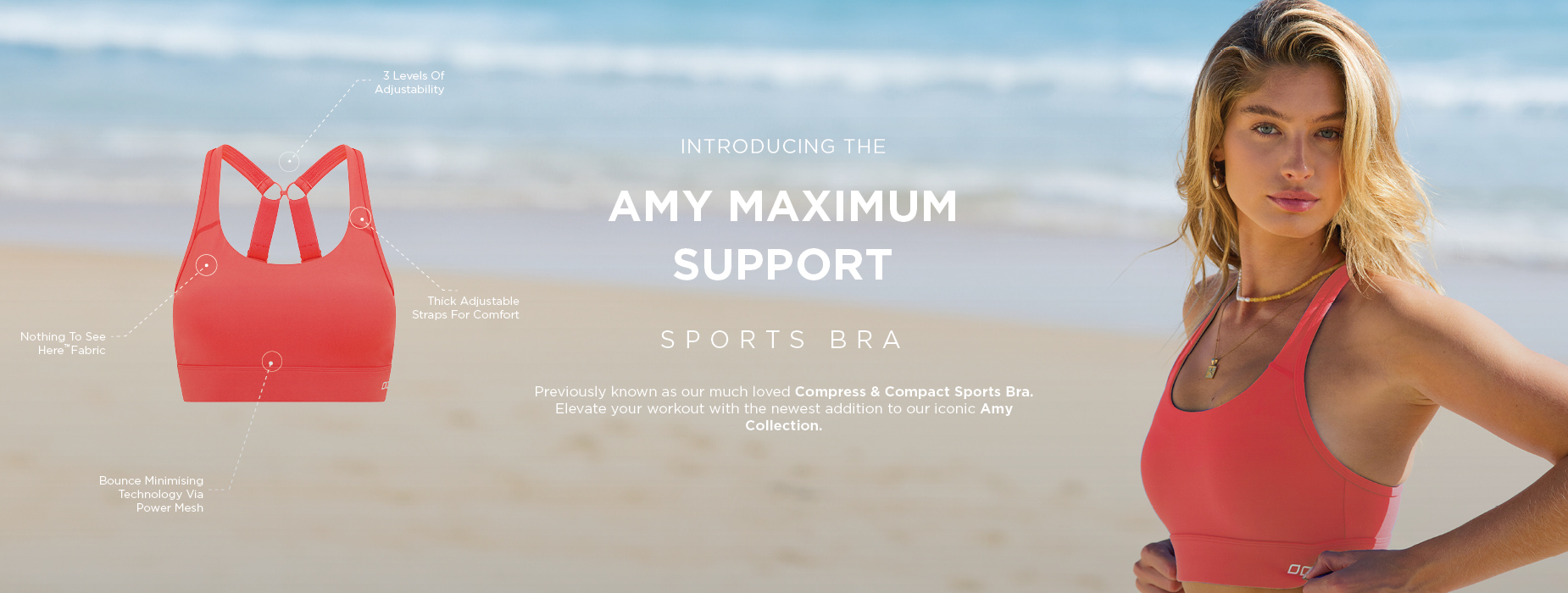 Amy Maximum Support Sports Bra